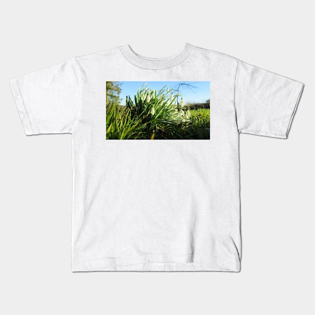 Sun Shines on Fully Bloomed Snowdrops Kids T-Shirt by Natural Distractions